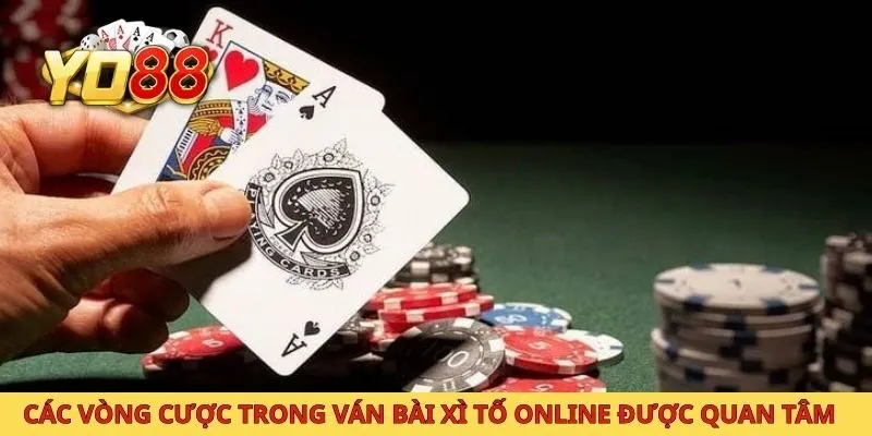 Các vòng cược trong ván bài xì tố online được quan tâm